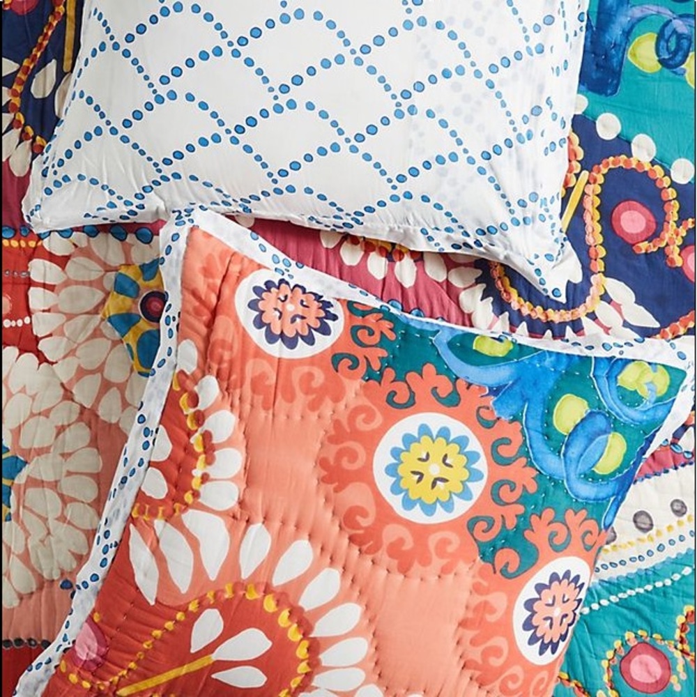 Anthropologie Tahla Euro Sham (set of 2)